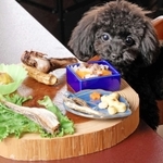 地元食材を使用した「ワンプレート」とトイプードルの女将（おかみ）犬「マカロン」（宮崎さん提供）＝豊岡市竹野町竹野