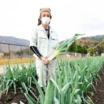 県が初めて品種の登録申請をしているネギの新品種「兵庫Ｎ－１号」＝県北部農業技術センター
