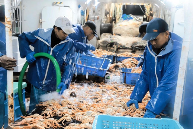 １１月６日に解禁されたズワイガニ漁。同月としては不漁傾向が続く＝同日未明、新温泉町沖