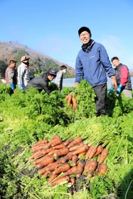 有機ニンジンの共同出荷に取り組む若手生産者たち＝豊岡市出石町上村