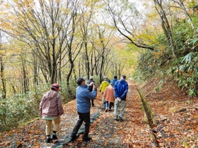 林道からの眺めを楽しむ人たち（県朝来農林振興事務所提供）