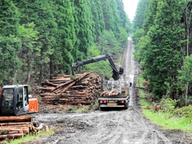 「瀞川・氷ノ山線」を使って木材を搬出する様子（県朝来農林振興事務所提供）
