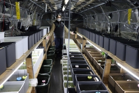 冬季は自宅駐車場に設けた室内で飼育する。その数は約１６０種類＝新温泉町栃谷