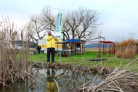 メダカをはじめとするさままざまな水生生物が暮らす＝豊岡市下鉢山