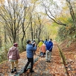 林道からの眺めを楽しむ人たち（県朝来農林振興事務所提供）