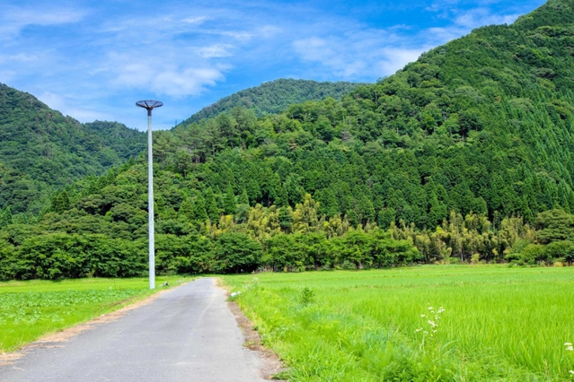 コウノトリの巣塔（トキワ提供）