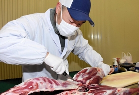 丁寧なナイフさばきで、シカの精肉作業に当たる北川修平さん＝朝来市和田山町宮内