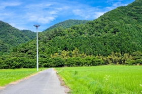 コウノトリの巣塔（トキワ提供）