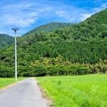コウノトリの巣塔（トキワ提供）