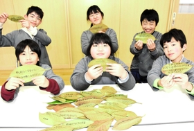 メッセージを書いたタイサンボクの葉と児童たち＝大蔵小学校