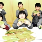 メッセージを書いたタイサンボクの葉と児童たち＝大蔵小学校