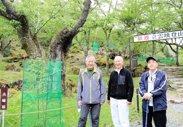 ヤマザクラを守る取り組みを続ける「立雲峡・山桜を守る会」のメンバーたち＝朝来市和田山町竹田