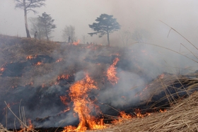 古いススキを燃やす地元住民ら＝新温泉町海上、上山高原