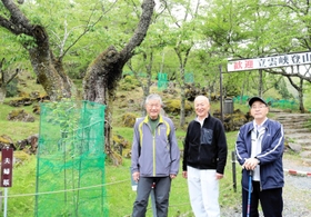 ヤマザクラを守る取り組みを続ける「立雲峡・山桜を守る会」のメンバーたち＝朝来市和田山町竹田