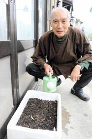 城崎温泉街にあるカスミザクラを守り育てる四角澄朗さん＝豊岡市城崎町湯島