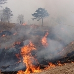 古いススキを燃やす地元住民ら＝新温泉町海上、上山高原