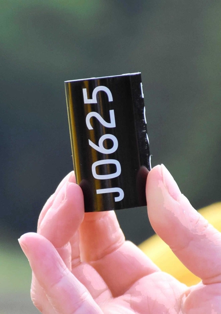 装着された新しいタイプの足輪（予備品）＝朝来市和田山町久田和