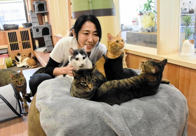 「スタッフ」の猫たちと足立薫さん＝朝来市和田山町竹田