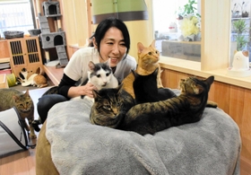 「スタッフ」の猫たちと足立薫さん＝朝来市和田山町竹田