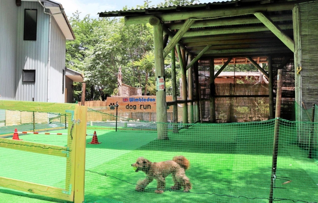 手作りのドッグラン。愛犬家のアドバイスを参考にした＝豊岡市出石町福住