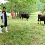 李先德教授（左）は放牧された但馬牛の様子なども調査した＝新温泉町切畑