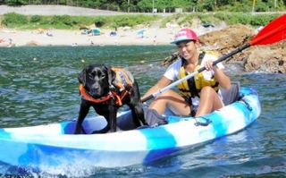 愛犬と同乗して海の散歩が楽しめるジオカヌー＝豊岡市竹野町（たけの観光協会提供）