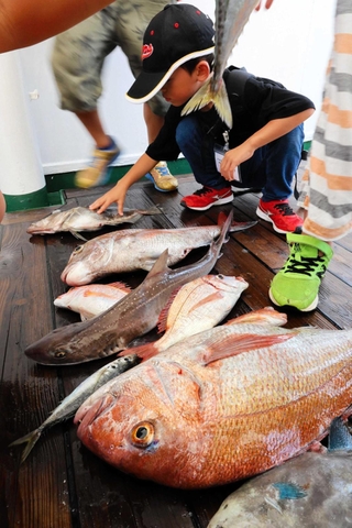 網に入っていた魚に触れてみる児童＝香住沖