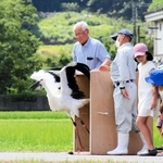 児童らに見守られて空に飛び立つコウノトリの幼鳥＝養父市八鹿町上小田