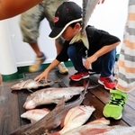 網に入っていた魚に触れてみる児童＝香住沖