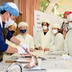 コイをさばく様子を見守る児童たち＝養父小学校