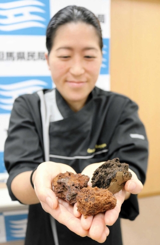 本物の石はどれだ？　軽石を模した「スコリア　ブラウニー」を手にする久保和代さん＝豊岡総合庁舎