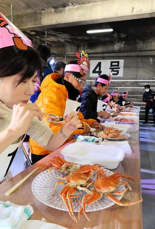 「セコがに綺麗に食べよう大会」の挑戦者たち＝１９日午前、香住漁港西港