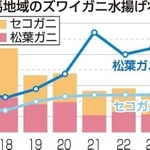 神戸新聞ＮＥＸＴ