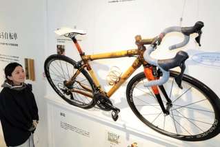 竹や木など自然のもので作った自転車＝豊岡市日高町伊府