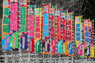 色鮮やかなのぼり旗がはためく＝新温泉町芦屋（撮影・長谷部崇）