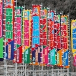 色鮮やかなのぼり旗がはためく＝新温泉町芦屋（撮影・長谷部崇）