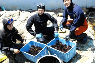 ウニを捕ってきたダイバーと、今回捕れたウニ＝日和山海岸