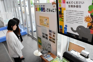 住民から寄せられた情報をもとに作成する「朝来市いきもの図鑑」の紹介コーナー＝朝来市役所