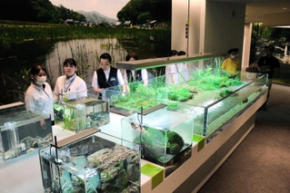 大小さまざまな水槽２０台が新設され、新しい展示が加わった施設内＝豊岡市瀬戸