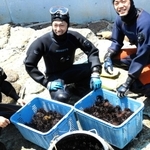 ウニを捕ってきたダイバーと、今回捕れたウニ＝日和山海岸