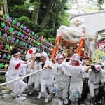 神輿を担いで石階段を上る担い手たち＝宇都野神社