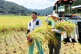 ブランド米「かにのほほえみ」を収穫する小谷好男さんと長女直美さん＝香美町香住区中野