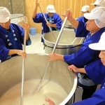 タンクの酒母をかき混ぜる蔵人たち＝香住鶴