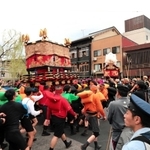 「城崎だんじり祭り」で盛り上がりを見せるセリ＝豊岡市城崎町