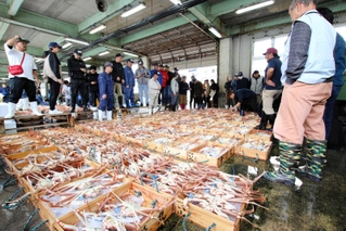 ずらりとカニが並ぶ競り場＝津居山港