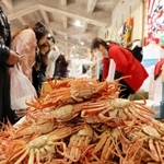 昨年の「浜坂みなとカニ祭り」で山積みされたセコガニ＝昨年１１月１８日、浜坂漁港