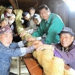 生田神社に納める一番大きなしめ縄を完成させた「薬王寺しめ縄保存会」のメンバーたち＝豊岡市但東町薬王寺