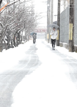 雪化粧となった豊岡市の市街地＝同市寿町