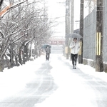 雪化粧となった豊岡市の市街地＝同市寿町