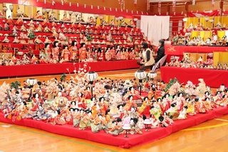 体育館に並べられたひな人形＝養父市出合